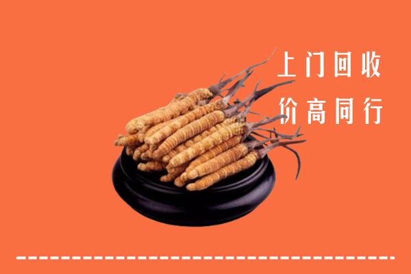 高价求购：黄岩区回收散虫草