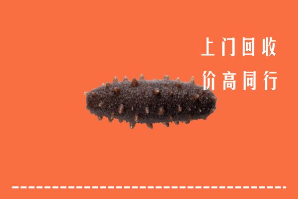 高价求购：黄岩区回收海参