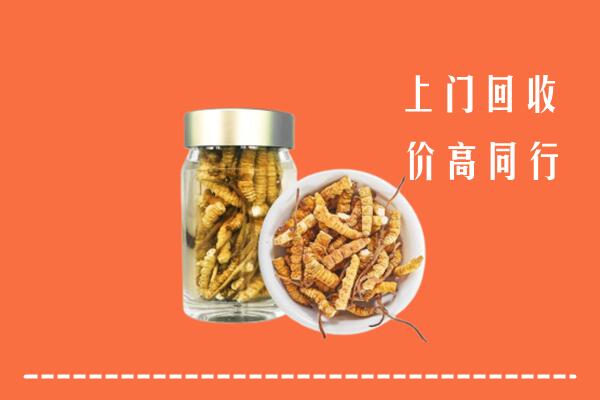 收购行情：黄岩区回收冬虫夏草